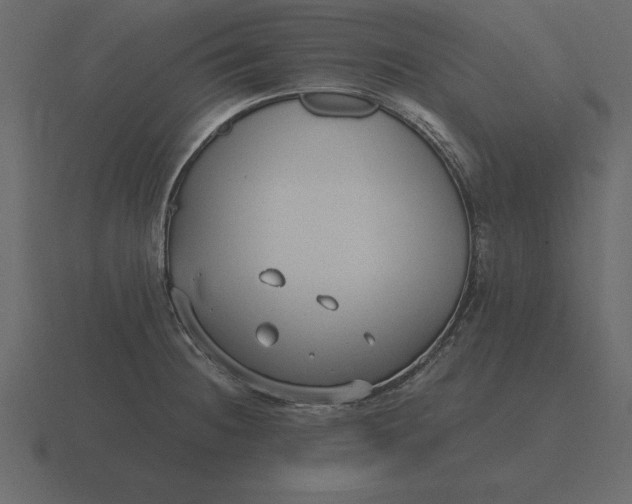 X0000116631236200912241806