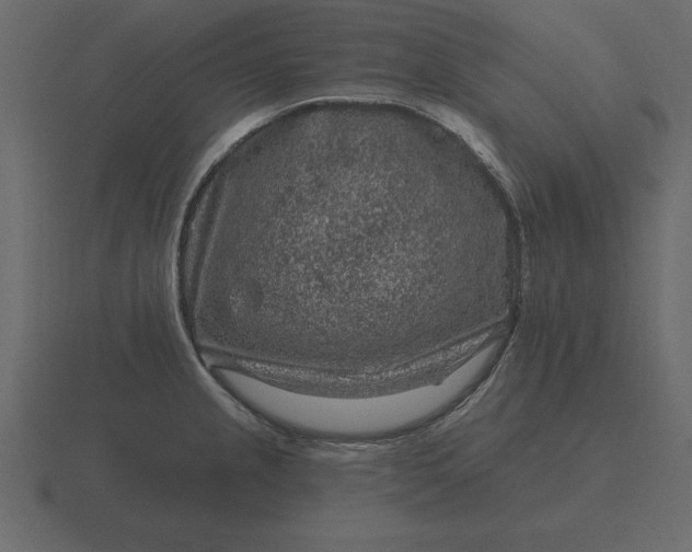 X0000116631237200912241806