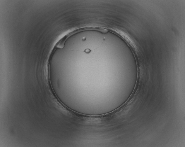 X0000116631238200912241806