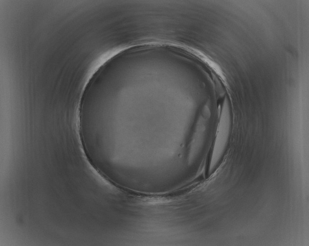 X0000116631239200912241806