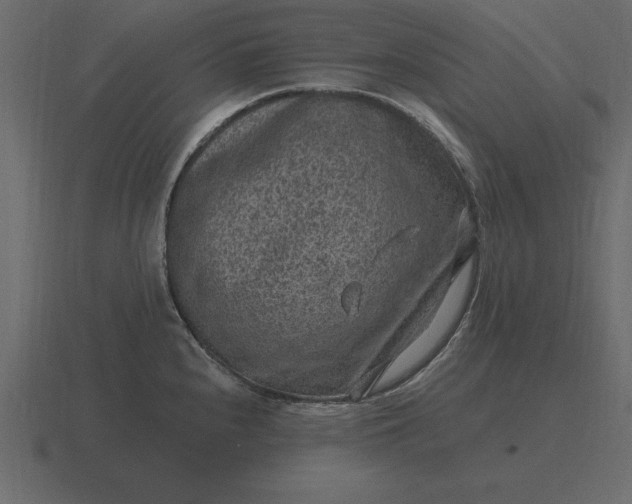 X0000116631240200912241806