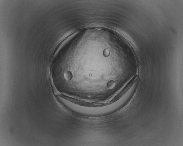 X0000116631241200912241806