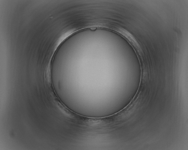 X0000116631242200912241806