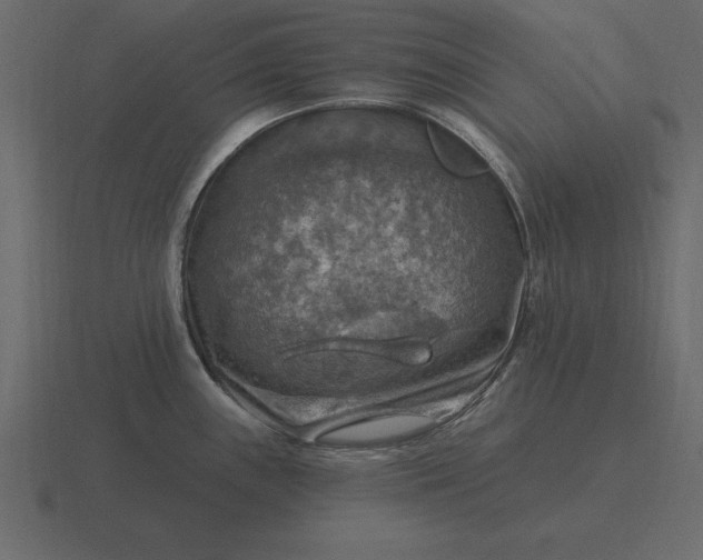 X0000116631243200912241806