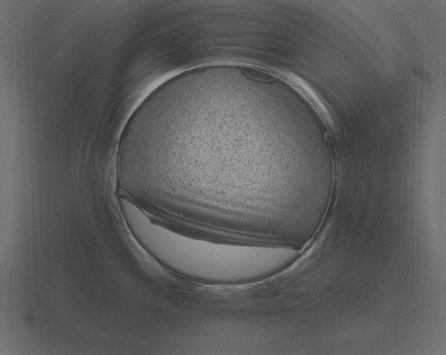 X0000116631244200912241806