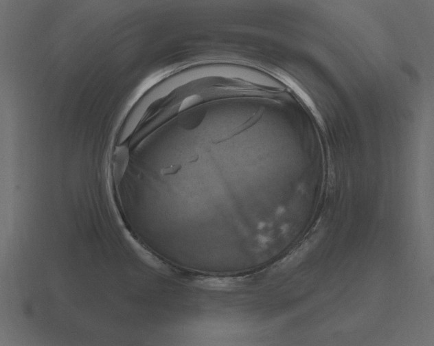 X0000116631245200912241806