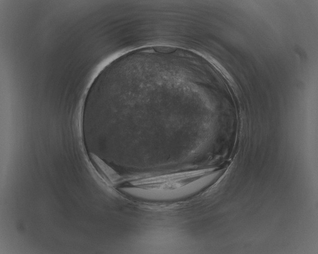 X0000116631246200912241806