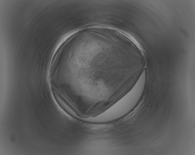 X0000116631247200912241806