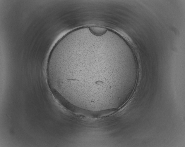 X0000116631248200912241806