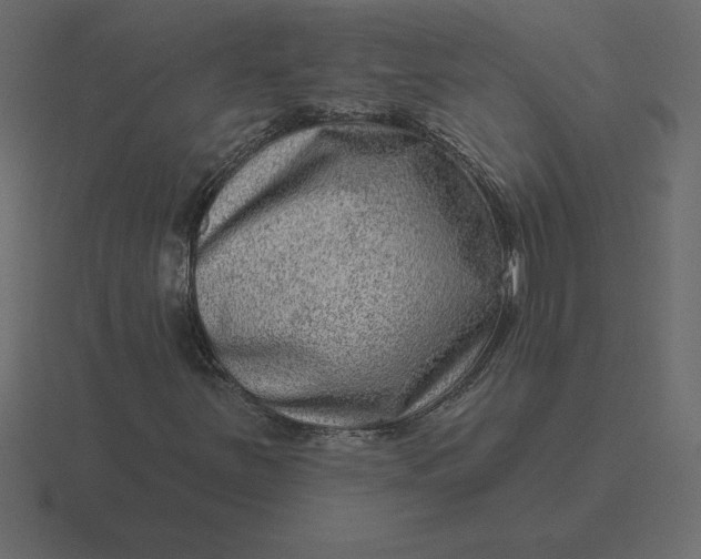 X0000116631251200912241805