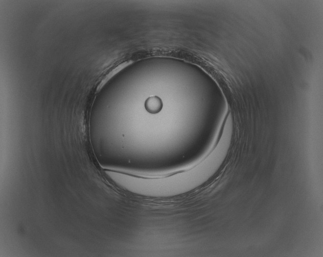 X0000116631252200912241805