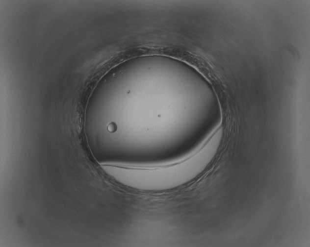 X0000116631253200912241805