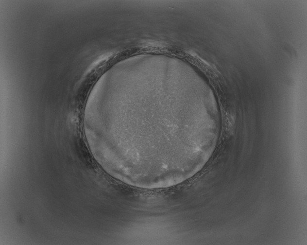 X0000116631254200912241805