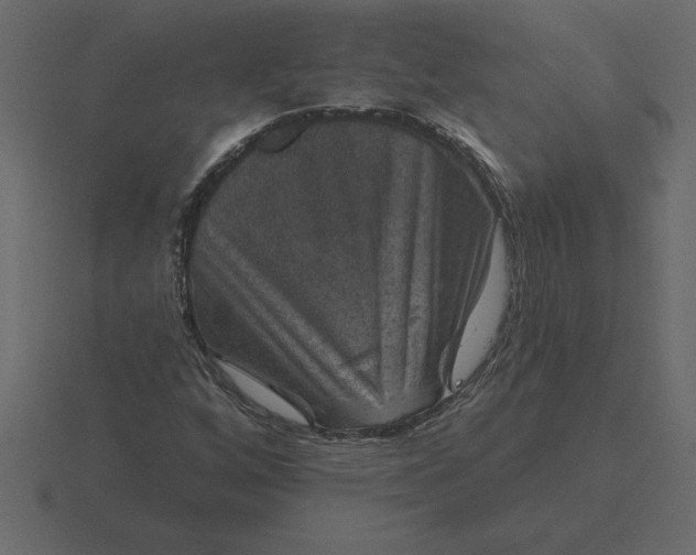 X0000116631256200912241805