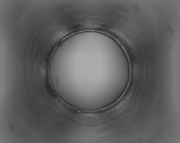 X0000116631257200912241805