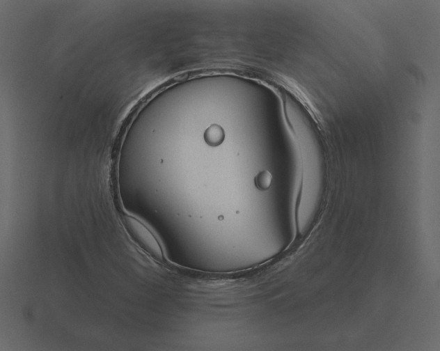 X0000116631260200912241805