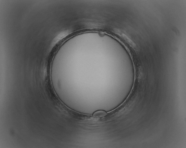 X0000116631261200912241805