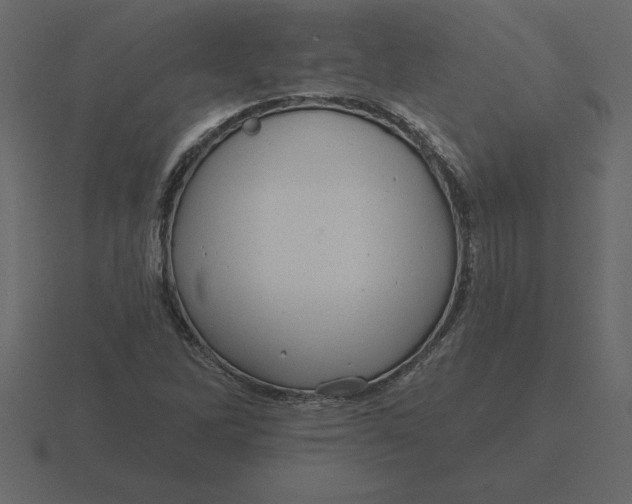 X0000116631262200912241805