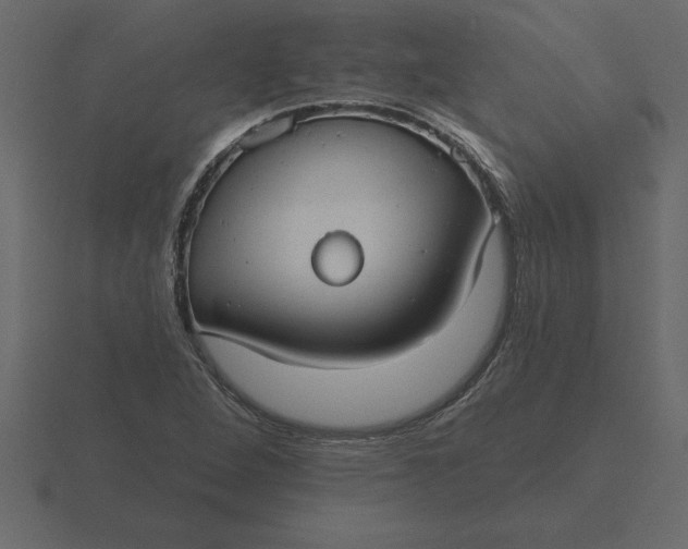 X0000116631264200912241805