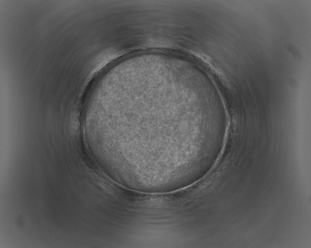 X0000116631266200912241805