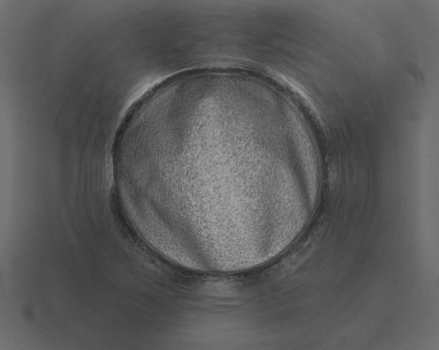 X0000116631267200912241805