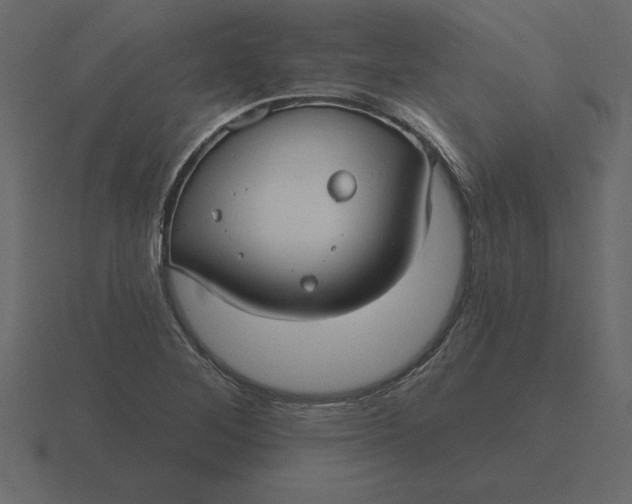 X0000116631268200912241805