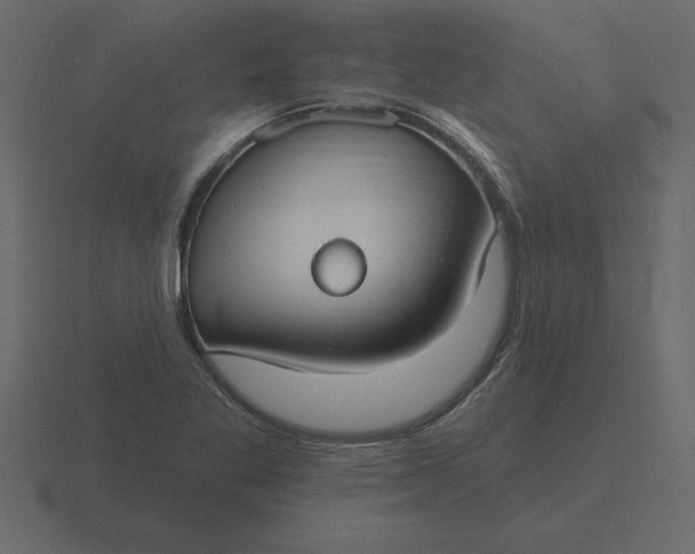 X0000116631269200912241805