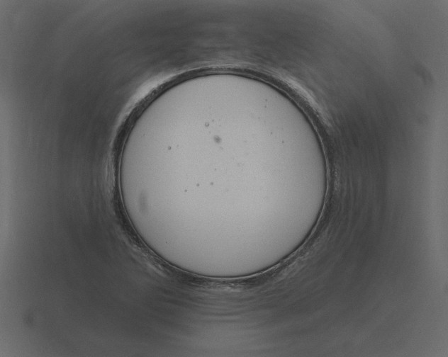 X0000116631270200912241805