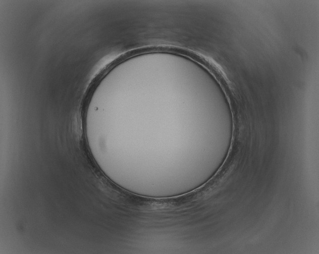 X0000116631271200912241805