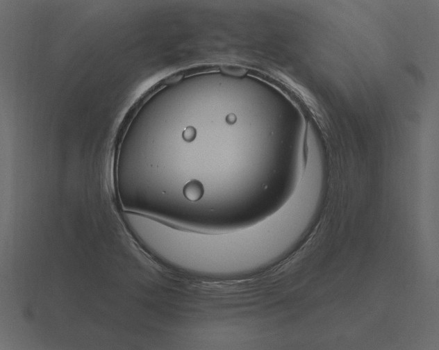 X0000116631272200912241805