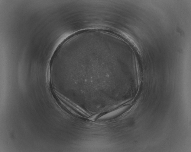 X0000116631275200912241805