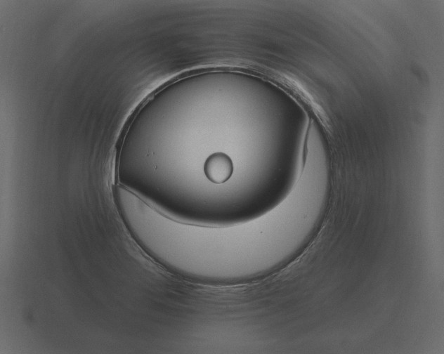 X0000116631276200912241805