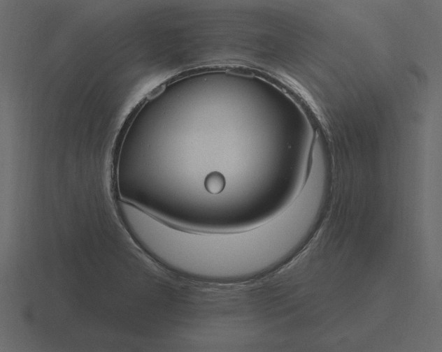 X0000116631277200912241805