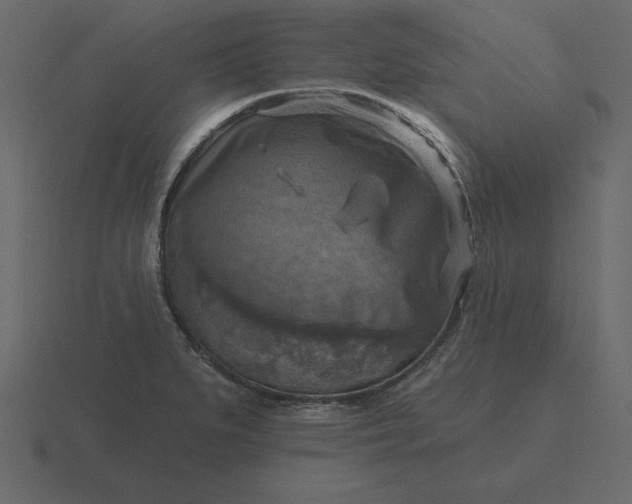 X0000116631279200912241805