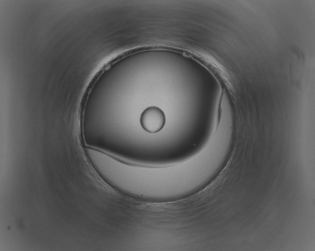 X0000116631280200912241805