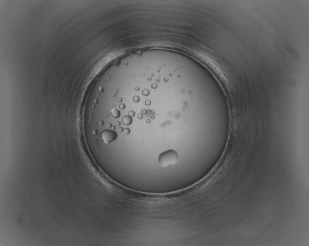 X0000116631282200912241805