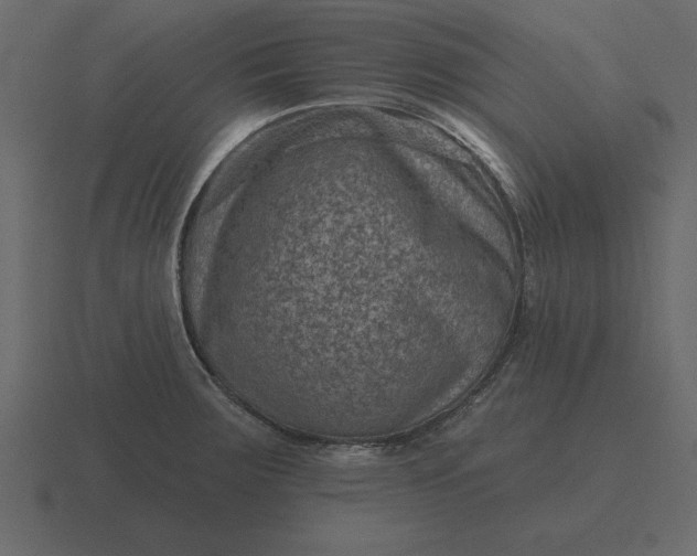 X0000116631283200912241805