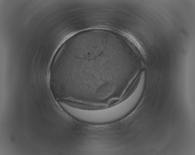 X0000116631284200912241805