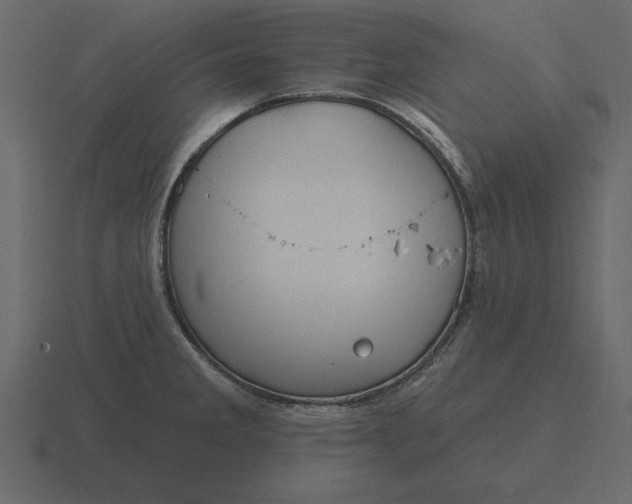 X0000116631285200912241805