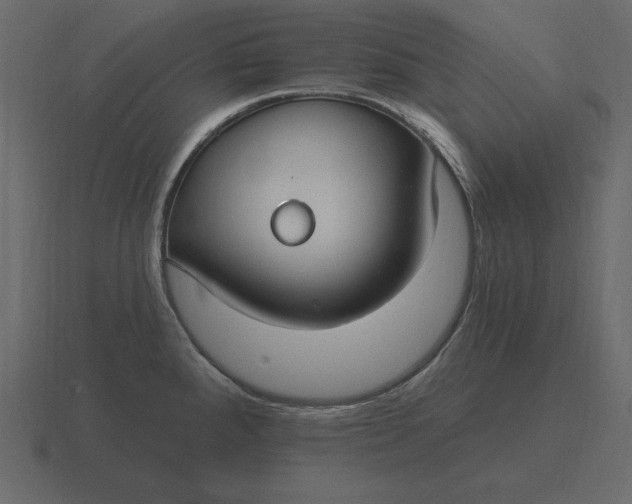 X0000116631288200912241805