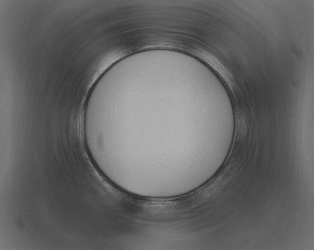 X0000116631290200912241805