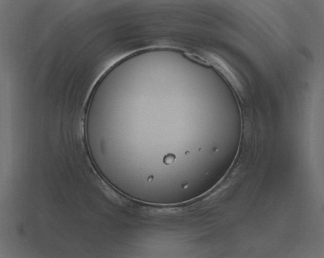 X0000116631292200912241805