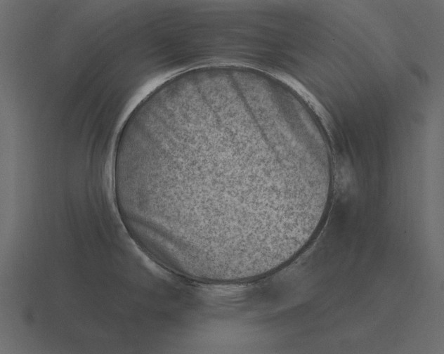 X0000116631294200912241805