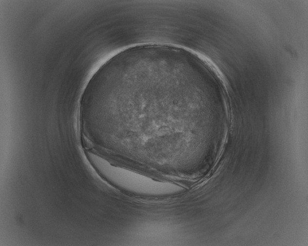 X0000116631295200912241805