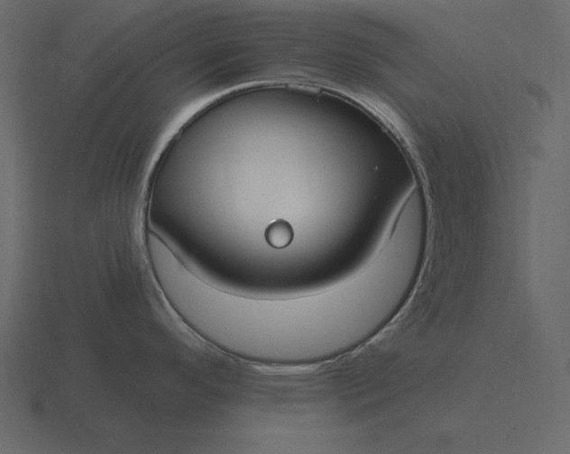 X0000116631296200912241805