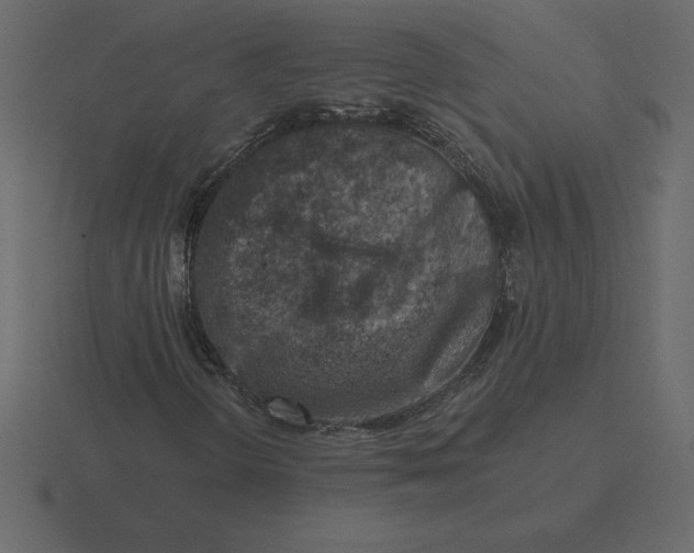 X0000116631298200912241804