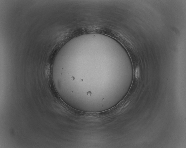 X0000116631299200912241804