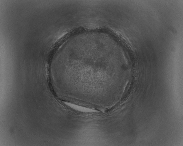 X0000116631301200912241804