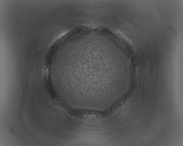 X0000116631302200912241804