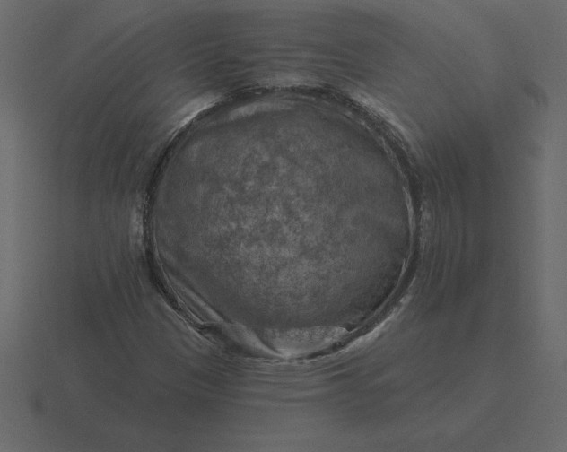 X0000116631305200912241804